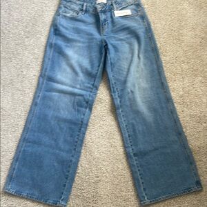 Women's Blue Jeans low rise baggy pac sun NWT